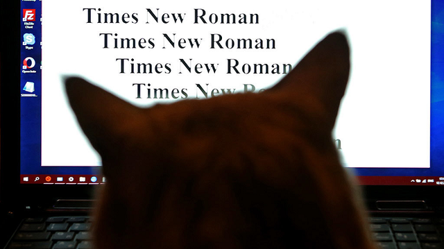 Times New Roman  Arial     